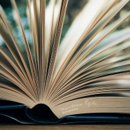 Pages of a book fanned out over a blurred backdrop