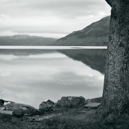 A view of Loch Lomond from the banks.