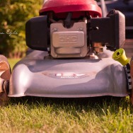 A close up of a lawn mower in the golden hour.