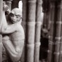 A gargoyle monkey on a column.