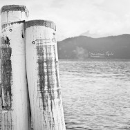 Two mooring poles on a lake
