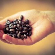 A handfull of coffee beans.