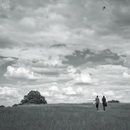 Two people walk on Hampsted Heath, a kite soars above.