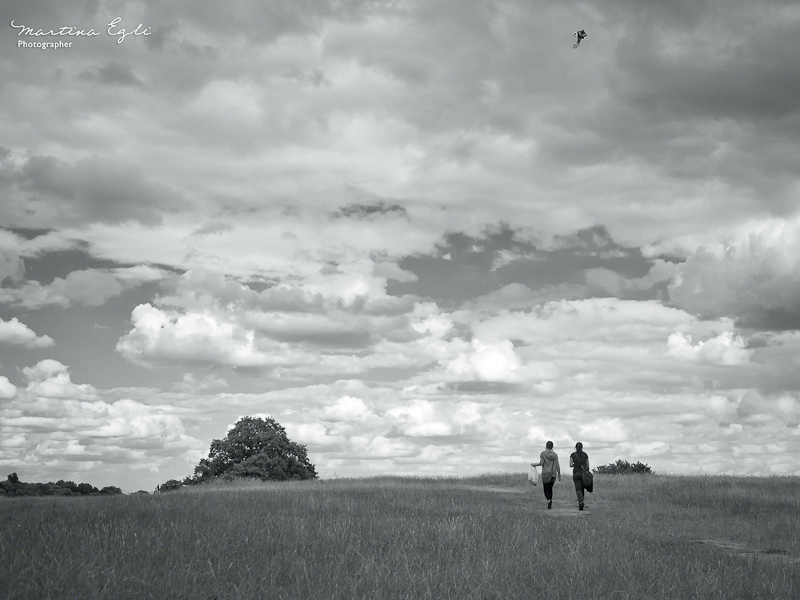 Two people walk on Hampsted Heath, a kite soars above.