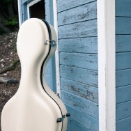 Cello case in a forest, against a blue backdrop.