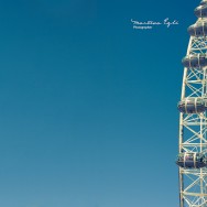 The London Eye.
