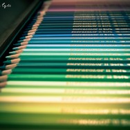 Rows of coloured pencils.