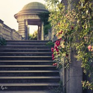 A defocused pagoda, and some plant life. Ancient ruins.