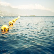 A string of yellow buoys floating in a lake.