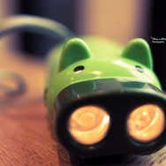 Little green pig...torch thing.