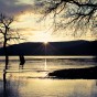 A sunset on Loch Lomond and silhouettes of trees.