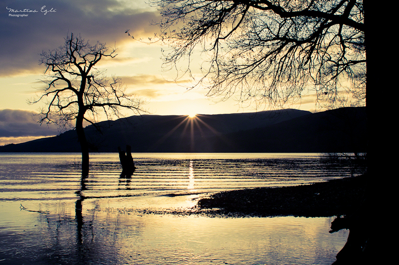 A sunset on Loch Lomond and silhouettes of trees.