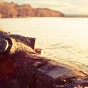 A log on the shore of Loch Lomond.
