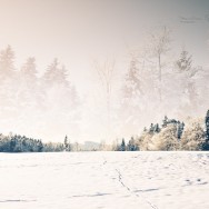 A dream-like winters landscape.