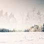 Winter's Dream A dream-like winters landscape.