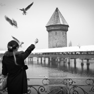 Woman feeding birds at Lake Luzern