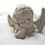 Little Angel, covered in snow.