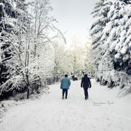 Two walkers in a Wintery Forest.
