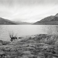 The banks of Loch Lomond, Scotland.