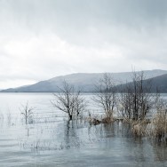 A view of Loch Lomond.