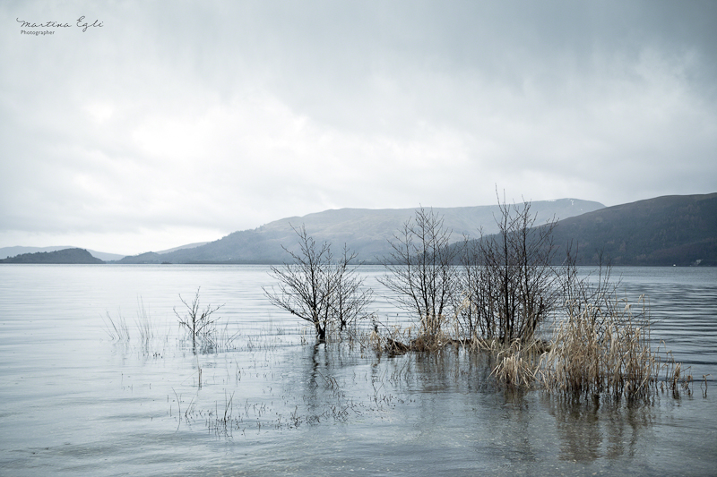 A view of Loch Lomond.