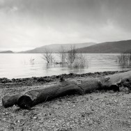 A burned log on the banks of Loch Lomond.