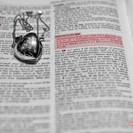 A Dictionary page showing the definition of the word love.
