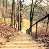 The view from atop a flight of outdoor stairs
