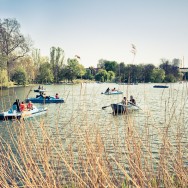 Boats on a lake at Regents Park, London.