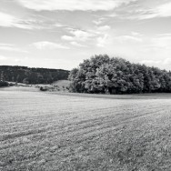 A Black and white panorama of an expansive field.