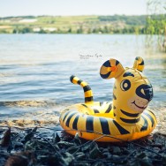 a rubber inflatable lands on the shores of a lake in Switzerland.