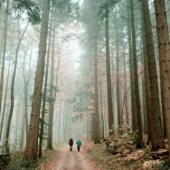 Two walkers in a misty autumn forest.