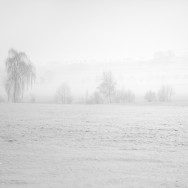 Snow blankets the landscape as snow billows in.