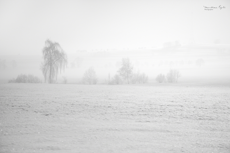Snow blankets the landscape as snow billows in.
