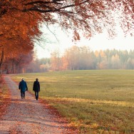 Two walkers on a path along a forest in autumn.