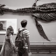 A lovely couple holding hands is looking at a plesiosaur skeleton at the National History Museum.