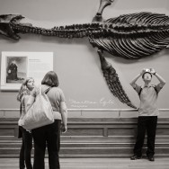 Three people are looking at a plesiosaur skeleton at the National History Museum.