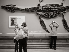 Three people are looking at a plesiosaur skeleton at the National History Museum.
