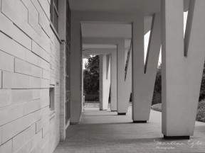 Architectural photograph of angled support pillars.