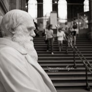 A Statue of Charles Darwin, with people in the Background