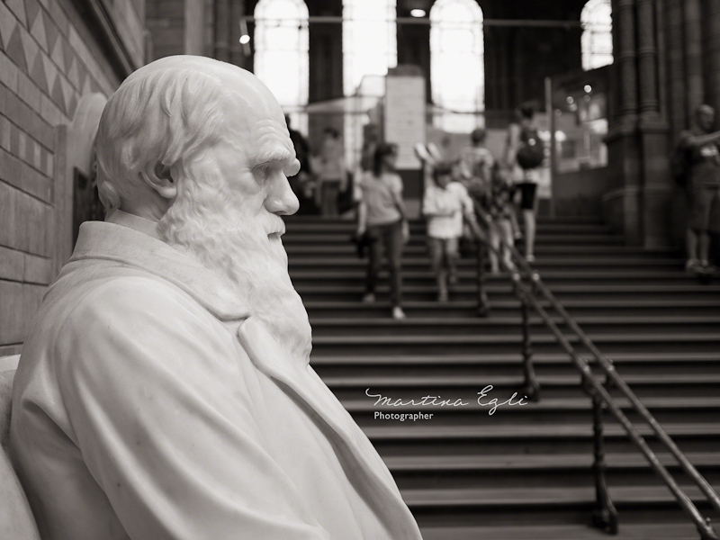 A Statue of Charles Darwin, with people in the Background