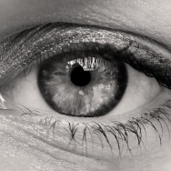 Black and White macro image of an eye.