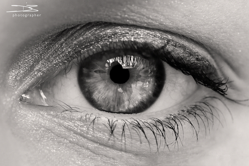 Black and White macro image of an eye.
