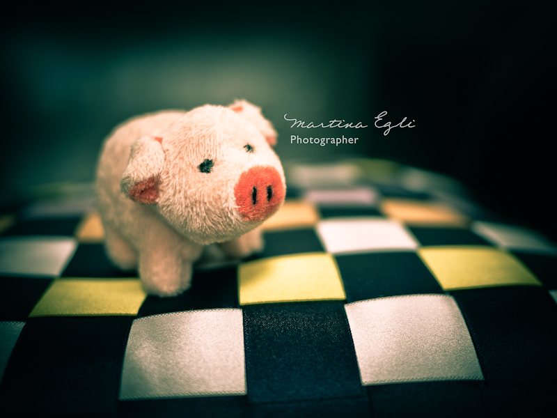 A cute little piggy on a cushion