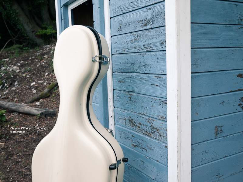 Cello case in a forest, against a blue backdrop.
