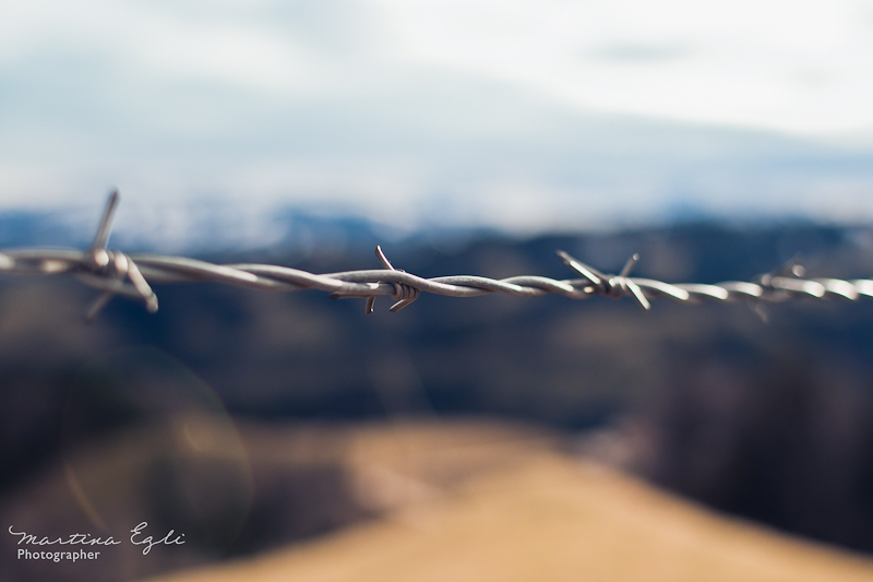 Barbed Wire with an out of focus background.