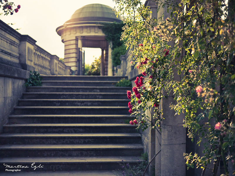 A defocused pagoda, and some plant life. Ancient ruins.