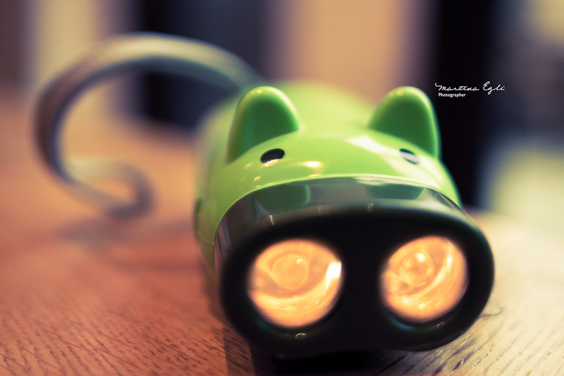 Little green pig...torch thing.