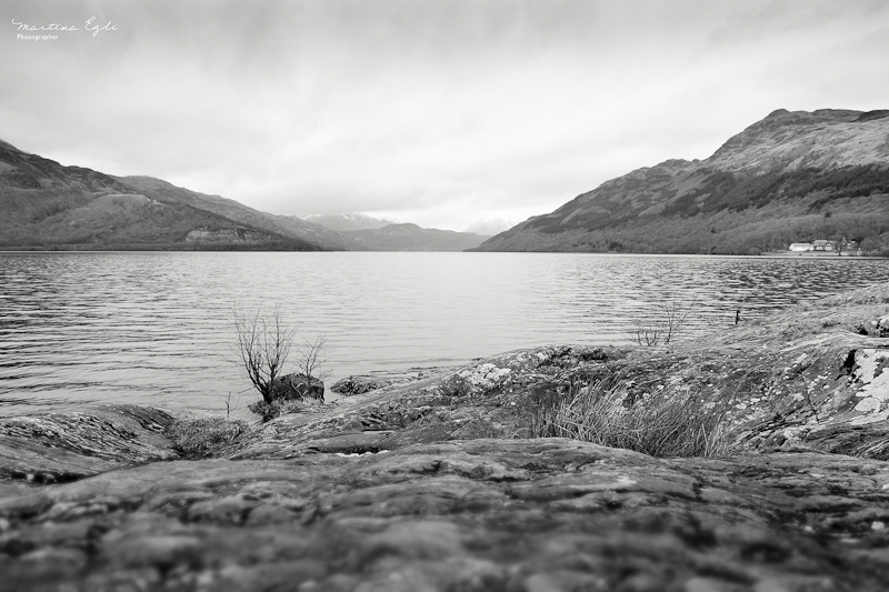 The banks of Loch Lomond, Scotland.