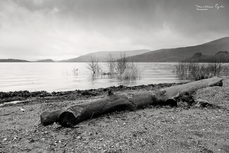 A burned log on the banks of Loch Lomond.